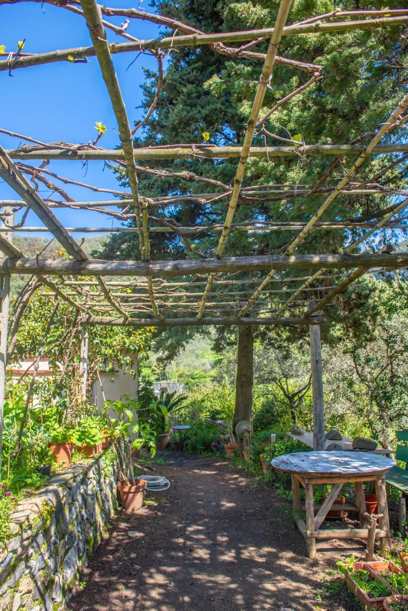 Agriturismo Villa Caterina Levanto Eksteriør bilde
