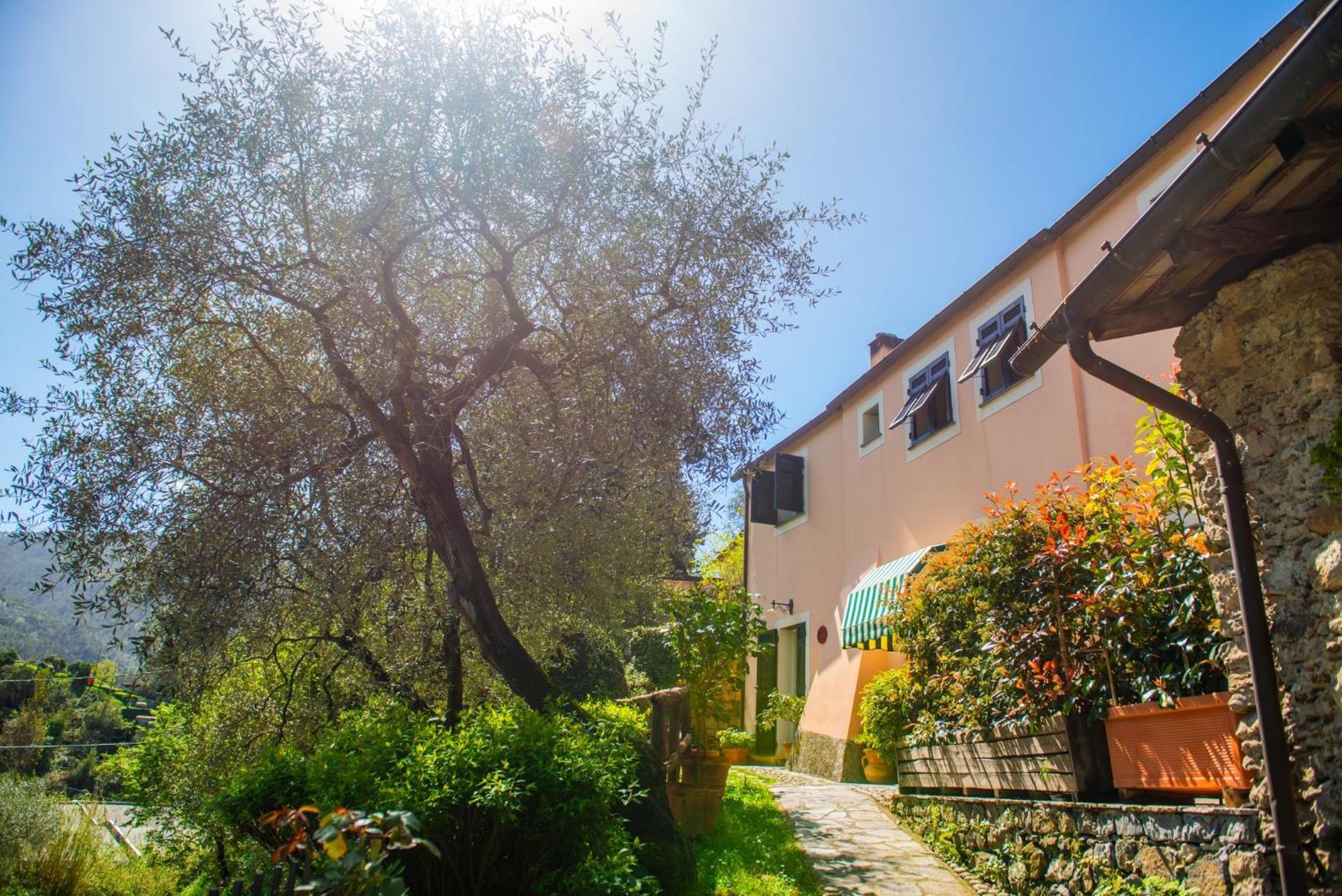 Agriturismo Villa Caterina Levanto Eksteriør bilde