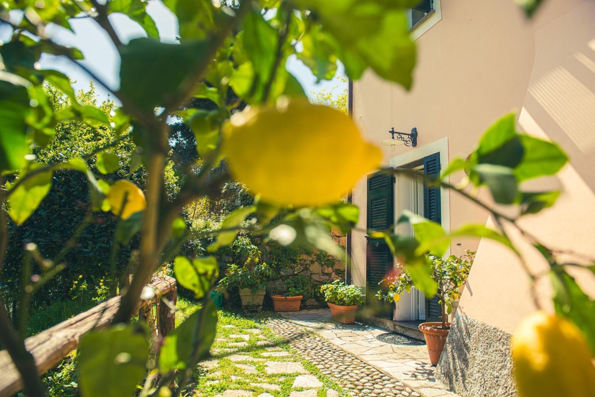 Agriturismo Villa Caterina Levanto Eksteriør bilde